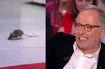 Une souris sur le plateau de Michel Drucker