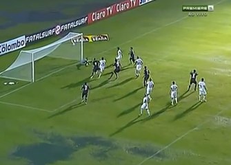 Brésil : Découvrez l'un des plus beaux cafouillages dans une surface de réparation