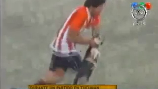 Insolite : Il prend un carton rouge après avoir jeté un chien hors du terrain