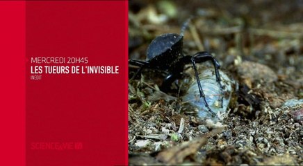 Les Tueurs invisibles