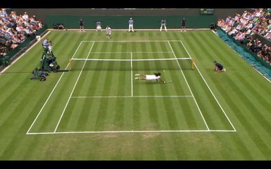 Wimbledon 2013 : La magnifique volée plongeante réussie par Dustin Brown contre Lleyton Hewitt