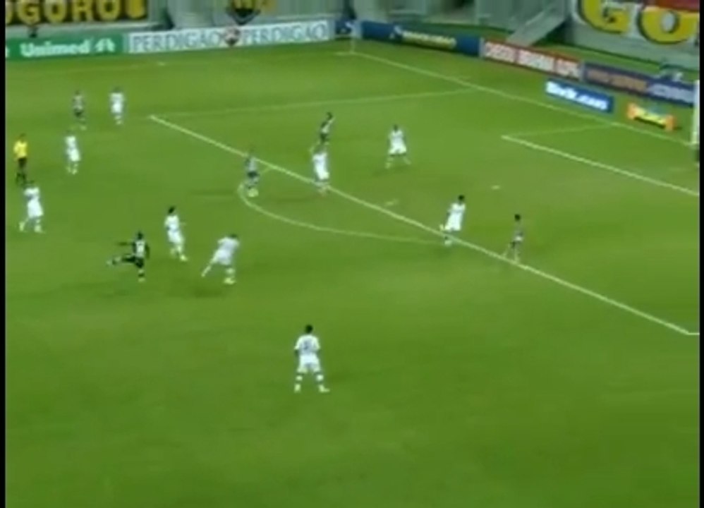 Le but de Clarence Seedorf fantastique de 30m lors de Botafogo - Fluminense