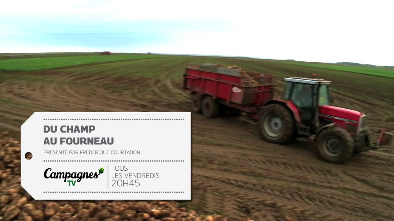 Du champ au fourneau