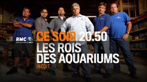 Aquamen les rois des aquariums - RMC - 05 03 16