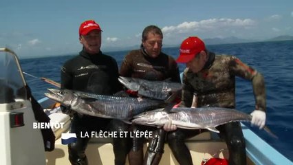 La Flèche et l'épée - 29/01/17
