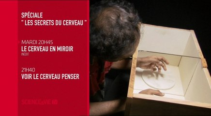 Soirée spéciale Secrets du cerveau - 15/03/16