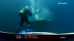 Grand Angle - Histoires d'eau - Ushuaia TV