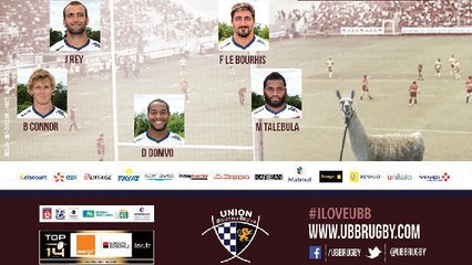 Insolite : Serge le lama, nouvelle star du sport à Bordeaux