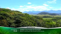 Terres sauvages en danger - Brésil - 03/02/17