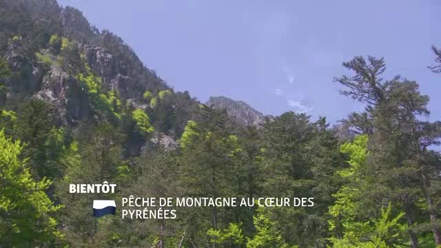 Pêche de montagne au coeur des Pyrénées - 19/01/17