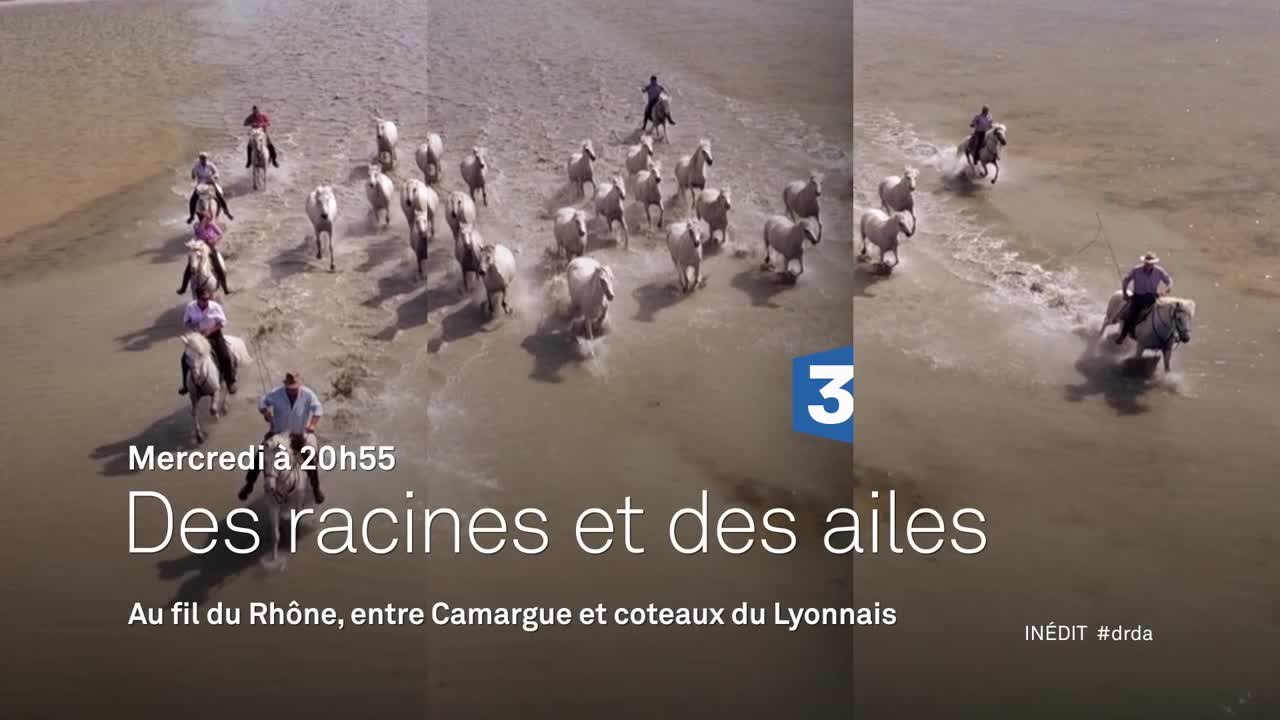 Des Racines et des ailes - Passion patrimoine : Au fil du Rhône, entre Camargue et coteaux du Lyonnais - 18/01/17