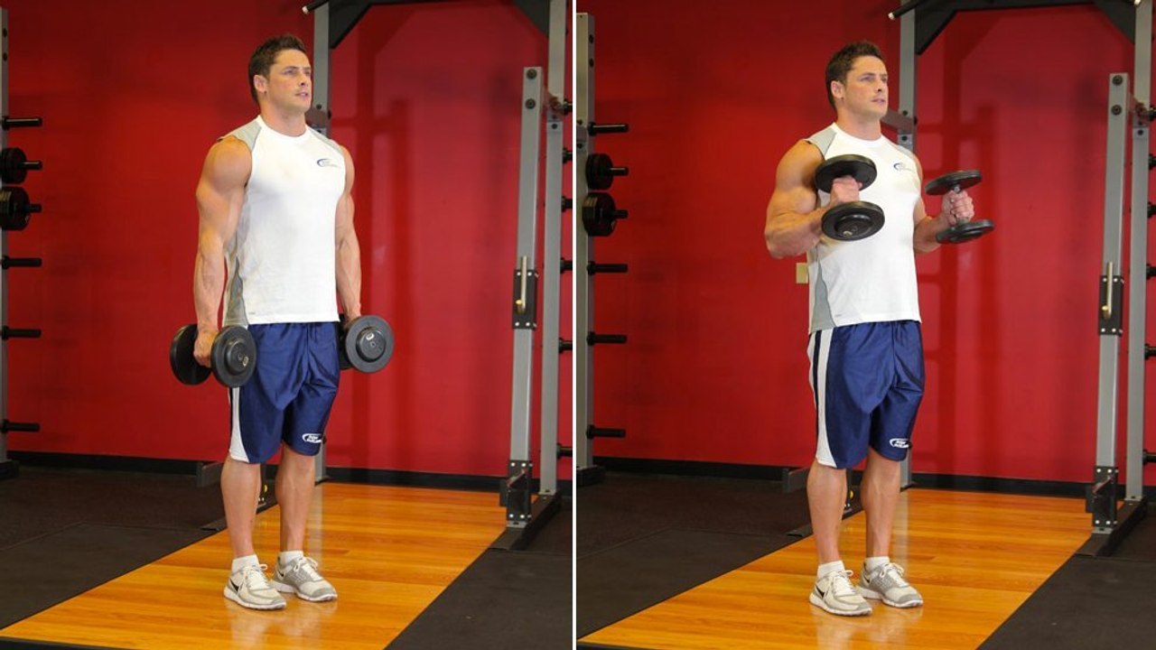 Musculation: Le curl marteau pour les bras et les biceps