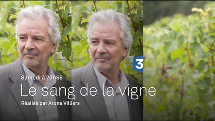 Le sang de la vigne - Cauchemar dans les Côtes de Nuit - 28 01 17
