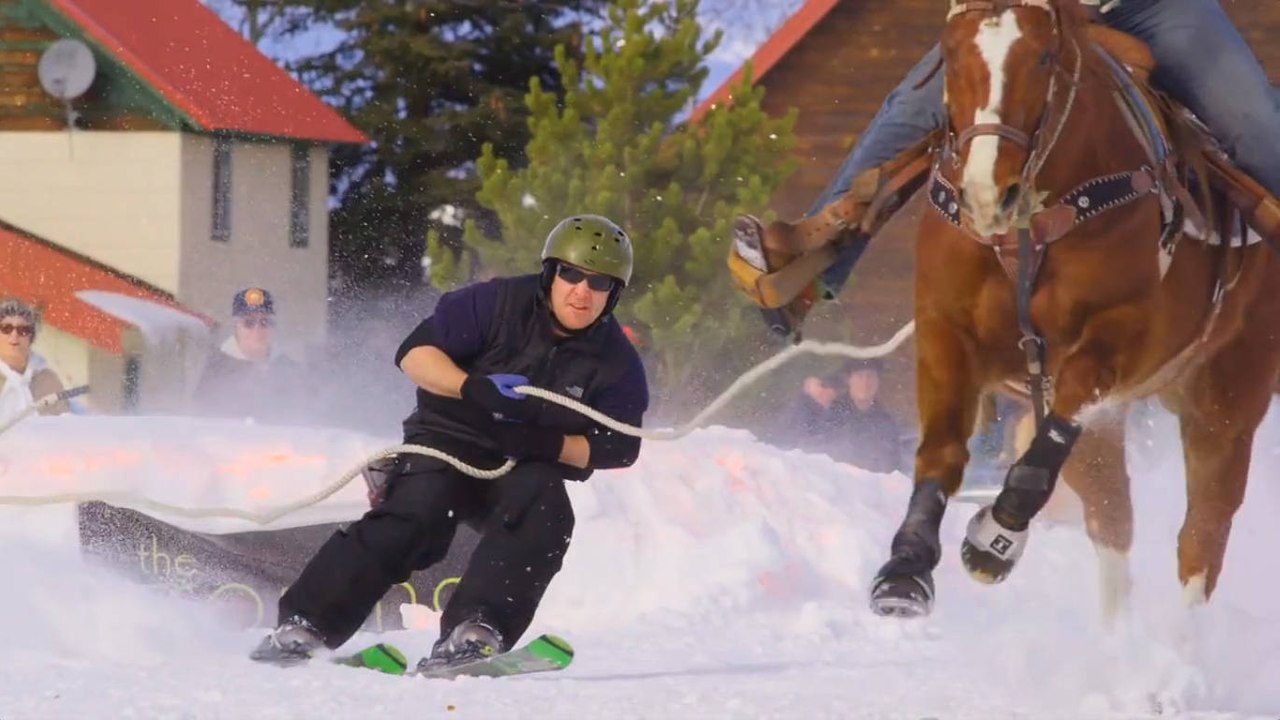 Découvrez le ski joëring, le sport de glisse tracté par un cheval