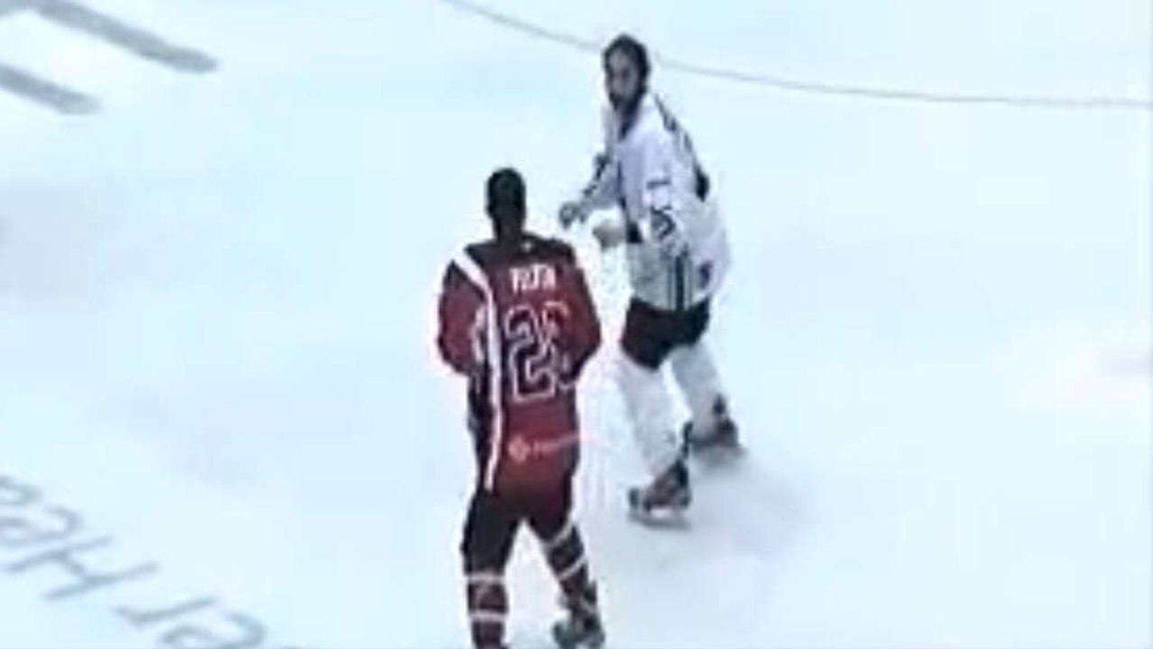 La bagarre la plus improbable du monde en hockey sur glace