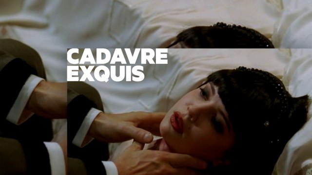 Les petits meurtres d'Agatha Christie - Un cadavre sur loreiller -france 5- 16 01 17