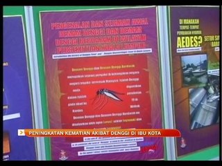Peningkatan kematian akibat denggi di ibu kota