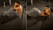 Musculation : Exercice pour les abdominaux, découvrez le 3/4 abdos