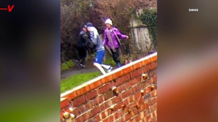 Surveillance Video Captured the Moment a Puppy Was Stolen From the Owner on a Walk in Broad Daylight