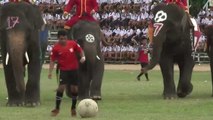 Des éléphants jouent au foot avec des écoliers en Thaïlande