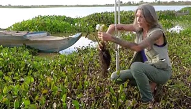 How women are turning one of the world's worst invasive plants into handbags and rugs