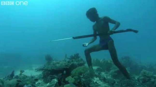 Cet homme pêche à plus de 20 mètres en apnée en vidéo