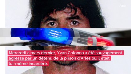 La chanteuse Alizée, originaire de Corse, publie une photo effroyable d’un jeune homme de 16 ans blessé et "traîné comme un sanglier" chez elle…