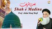 Shah e Madina || Prof. Abdul Rauf Rufi || Naat Sharif