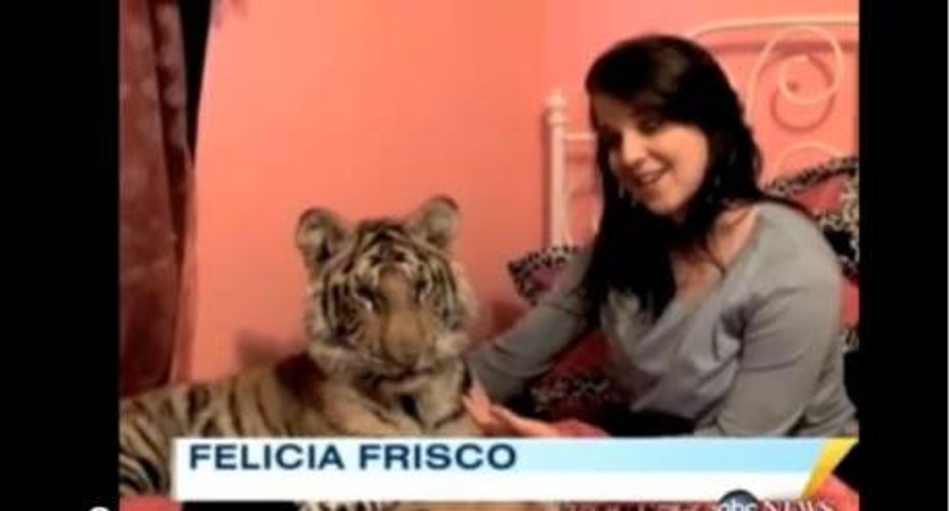 Un bébé tigre et une adolescente partagent la même chambre