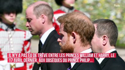 William et Harry se sont sautés à la gorge : la séquence qui a échappé aux caméras...