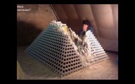 Découvrez la chute de la plus grande pyramide de dominos... ou presque