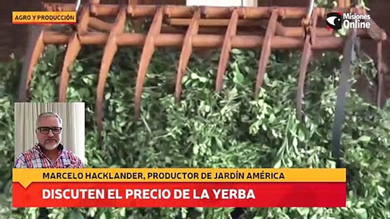 Discuten el precio de la yerba