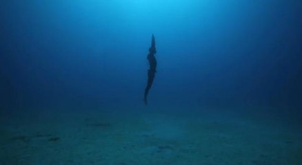 Découvrez un magnifique court-métrage sur l'apnée!