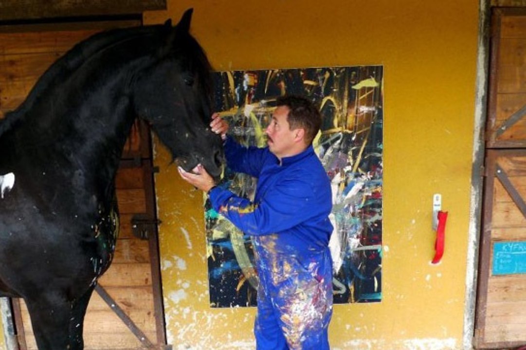 Découvrez les œuvres de Napoléon le cheval peintre en vidéo