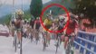 Vuelta 2014 : Deux cyclistes se battent en pleine étape