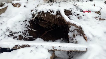 Mezarlıkta define ararken yakalandılar