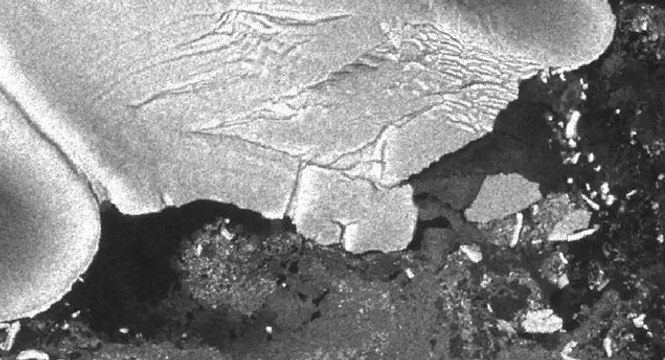 Des icebergs géants créés par le tsunami japonais