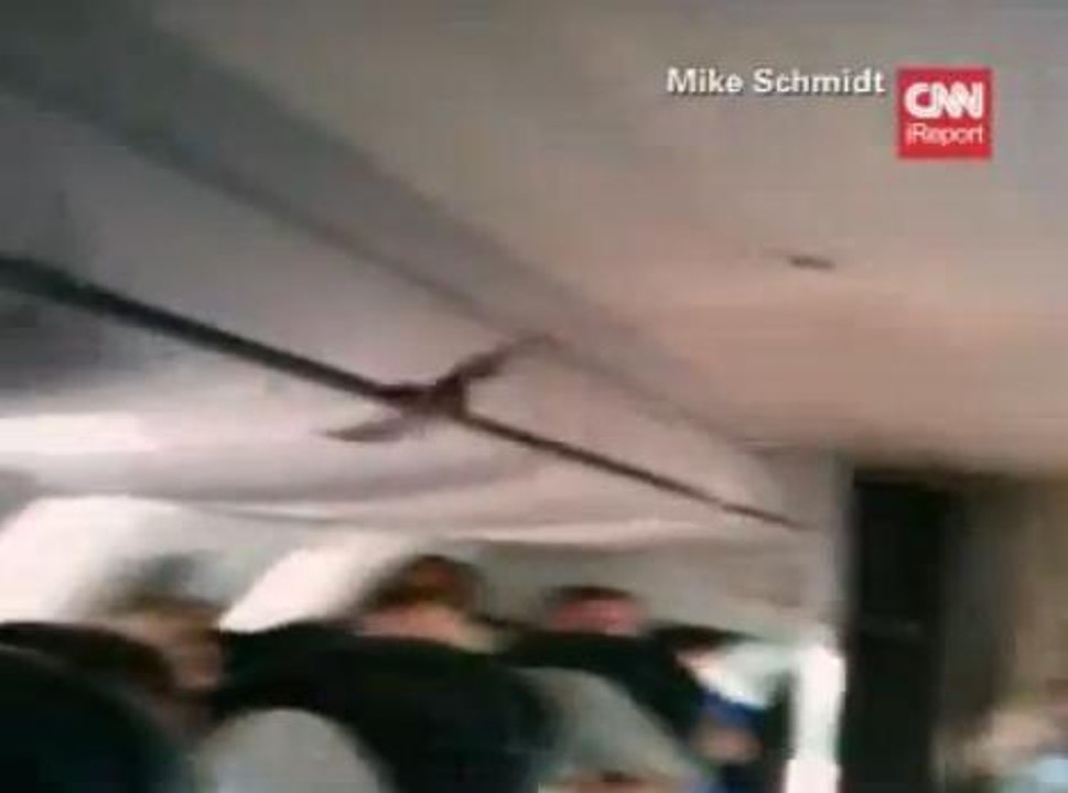 Une chauve-souris a embarqué à bord du vol 5121