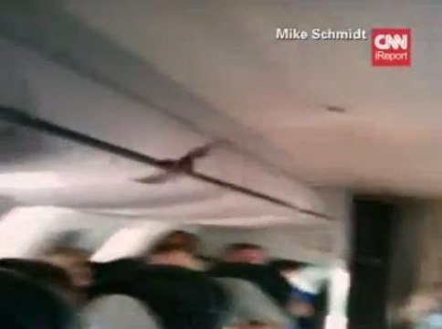 Une chauve-souris a embarqué à bord du vol 5121