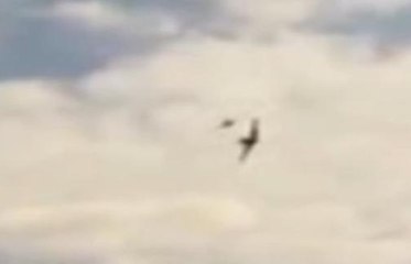 Il a survécu à une collision en plein vol