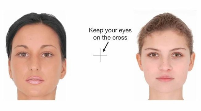 Découvrez une illusion d'optique qui transforme des femmes en monstres