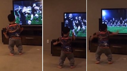 Un bébé imite le Haka des All Blacks devant sa télé
