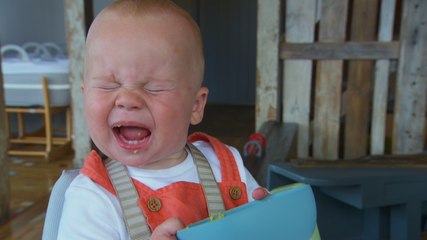 'Apprentice' first look: Babies can't stomach candidates' pureed food