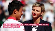 Charlène de Monaco quitte la principauté après une terrible révélation sur Albert II : pourquoi elle refuse de rentrer ?