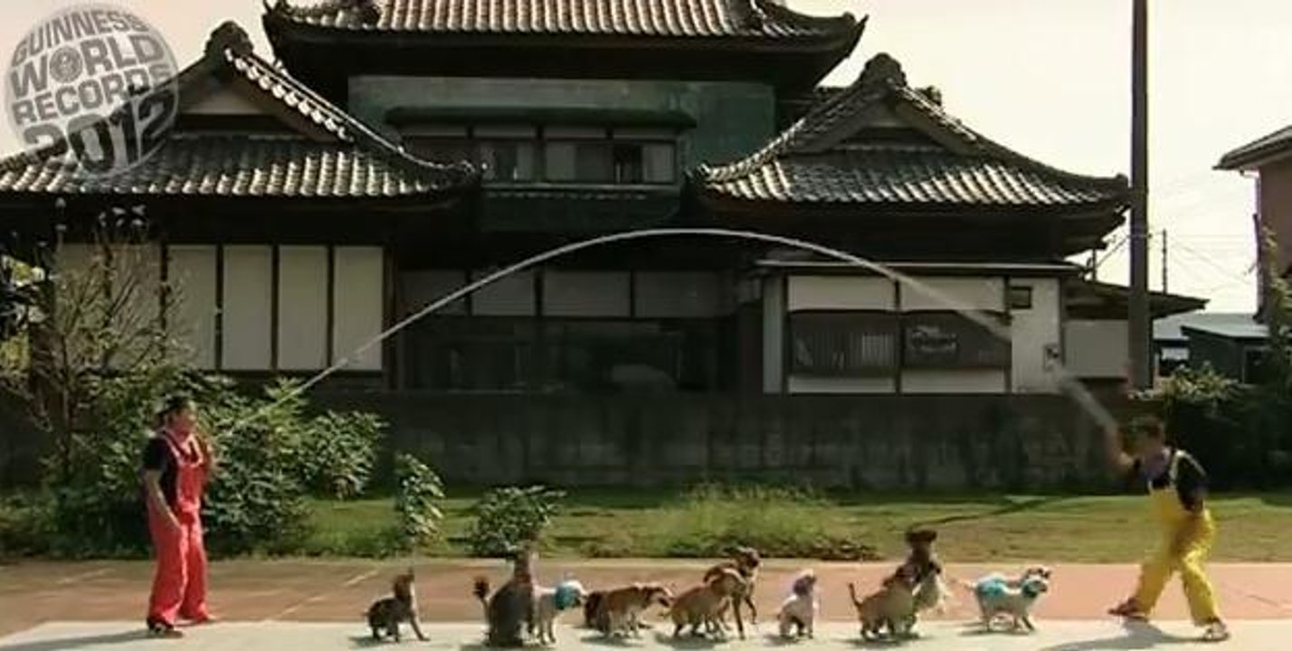 Record: Ces 13 chiens font de la corde à sauter