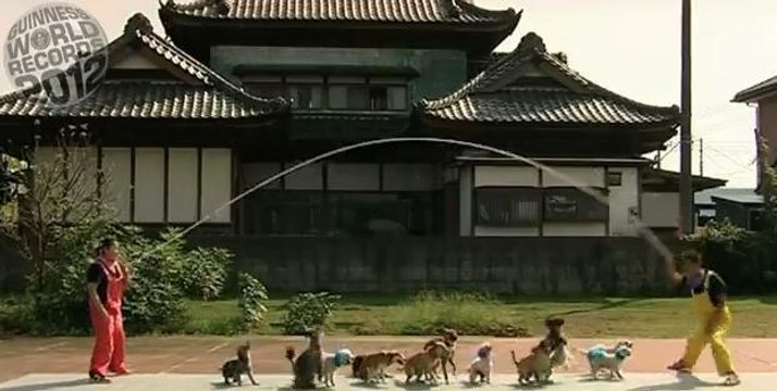 Record: Ces 13 chiens font de la corde à sauter