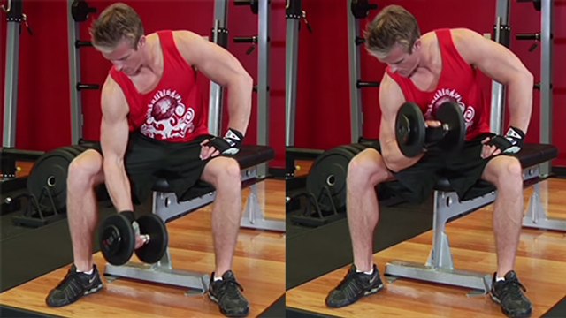 Entraînement : comment travailler son biceps sans faire d’erreurs ?