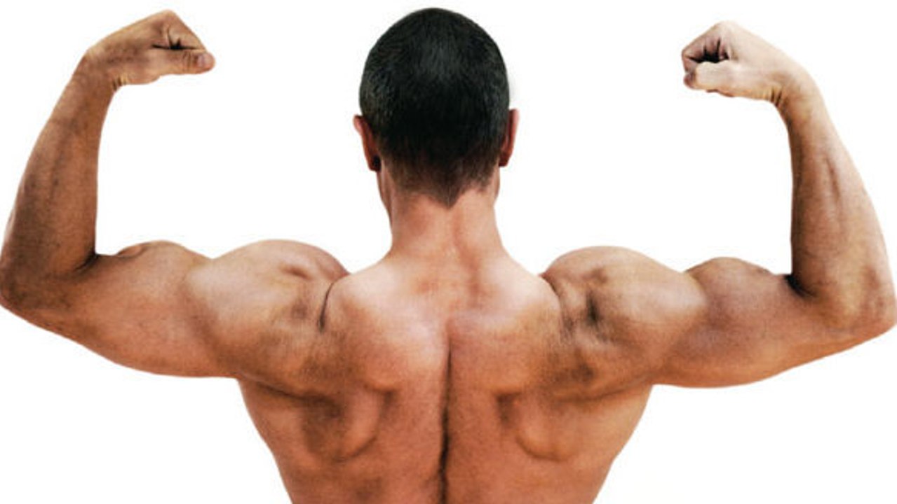 15 exercices à faire à la salle de musculation pour des bras ultra-musclés