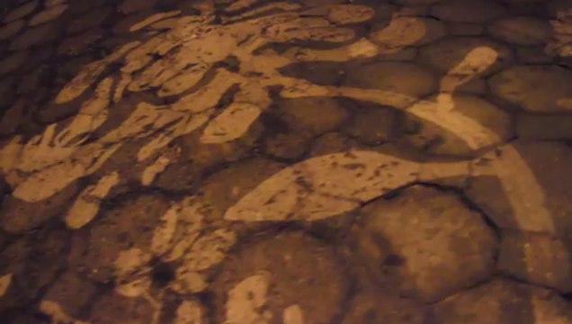 Découvrez des graffitis réalisés à l'aide d'un Kärcher en vidéo