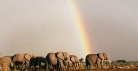 Découvrez de magnifiques images de la terre !